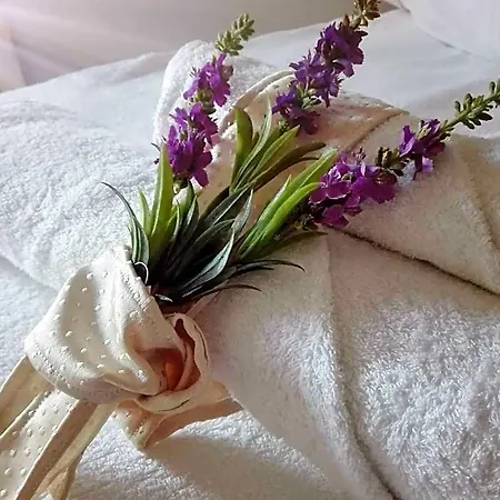 Elettra Bed & Breakfast 3*