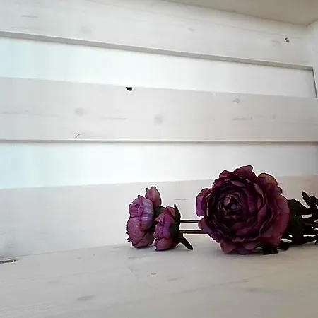 Bed & Breakfast Elettra Marconia